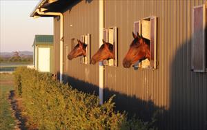 Video Feature: Barwon Heads Training Facility